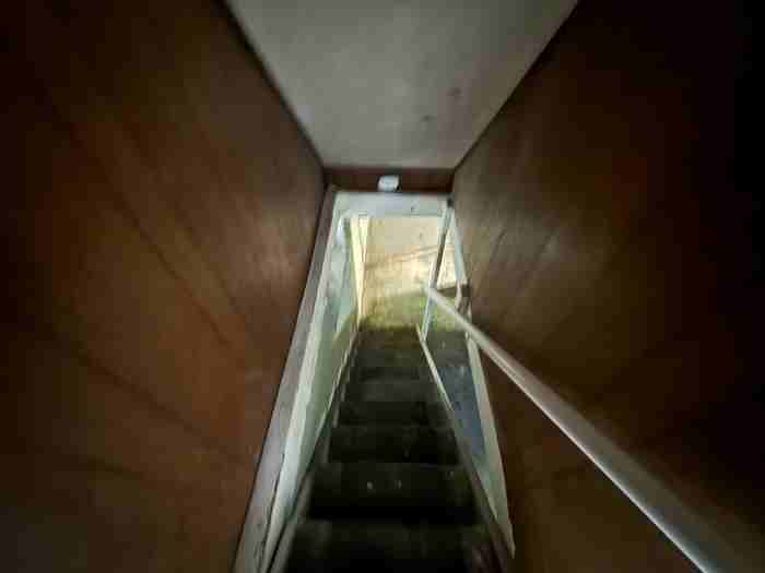 659 Fisher Hill St - Photo 4 of 17