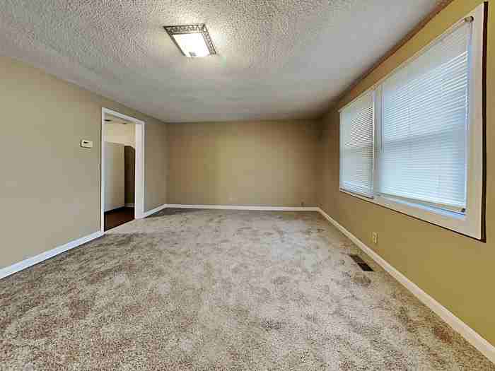 812 W Smith Valley Rd - Photo 5 of 19