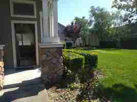 featured image of 5674 Impatiens Cmn #5674