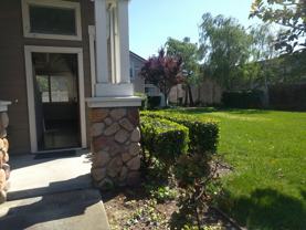 5674 Impatiens Cmn #5674 - Photo 1 of 1