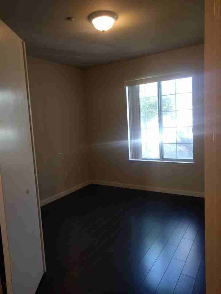 5674 Impatiens Cmn #5674 - Photo 2 of 22