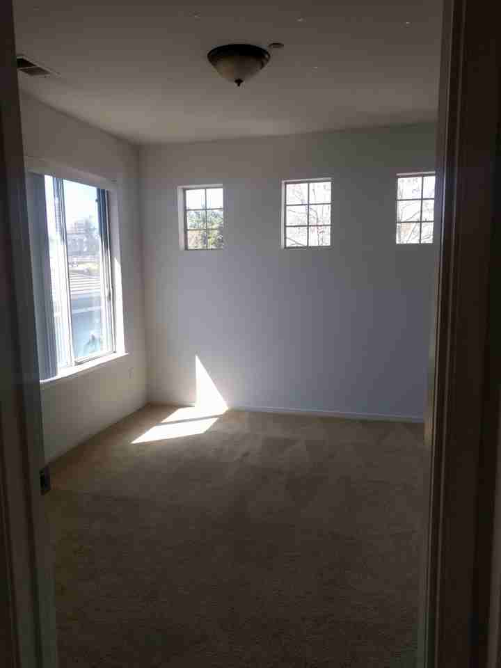 5674 Impatiens Cmn #5674 - Photo 6 of 22