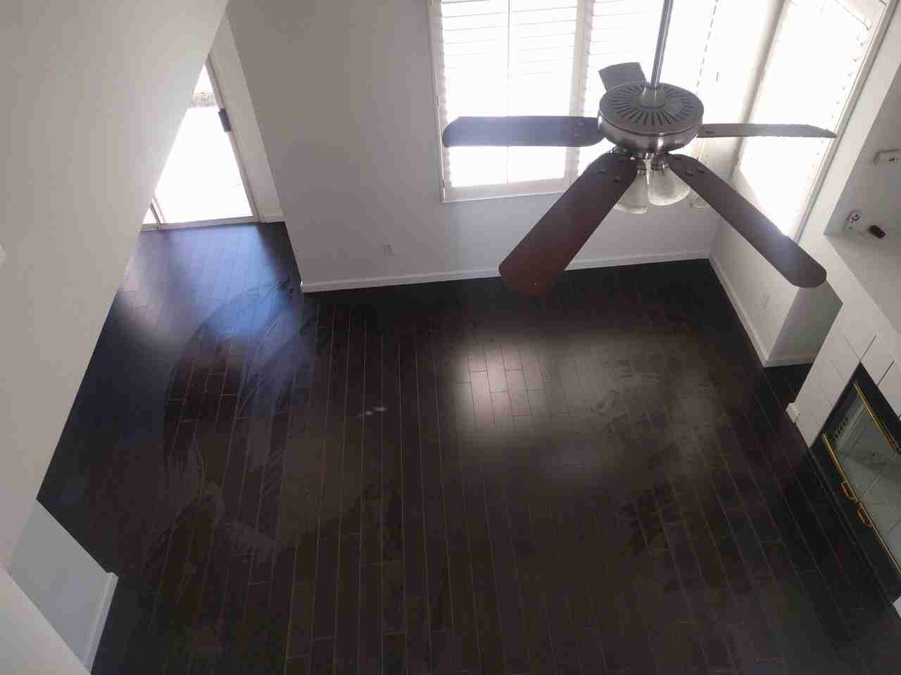 5674 Impatiens Cmn #5674 - Photo 7 of 22