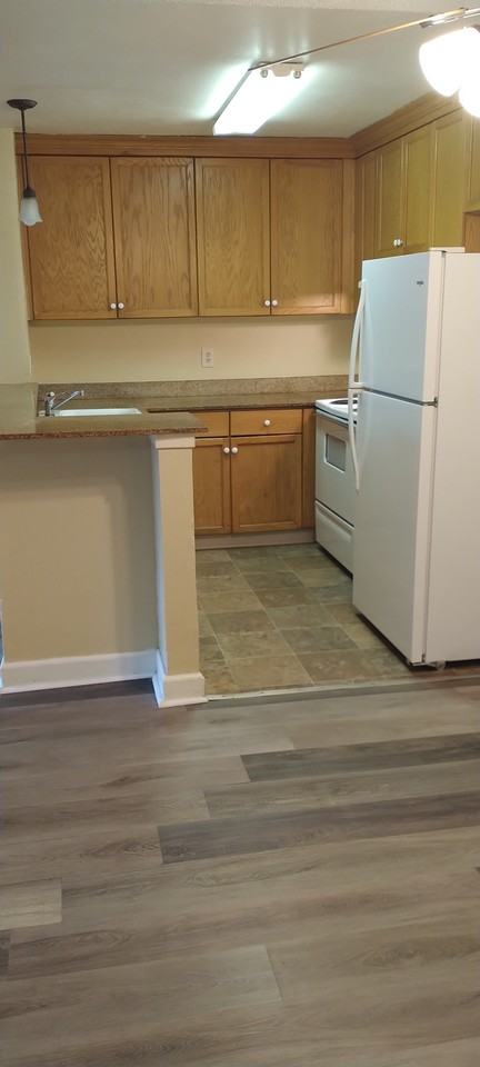 1333 N Camino Alto #239 - Photo 4 of 17