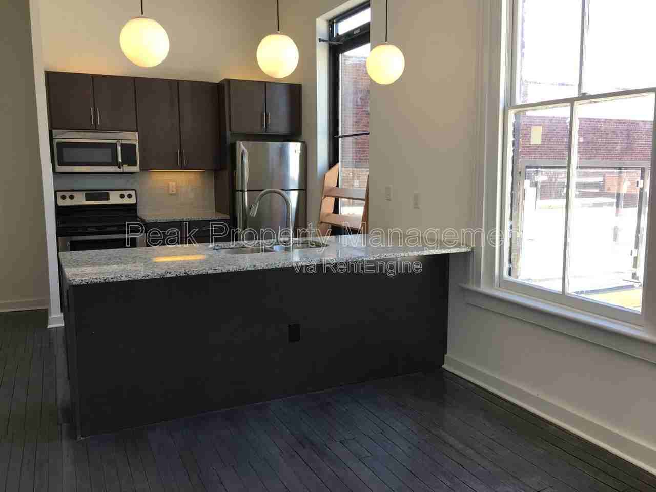 1313 Hull St #204 - Photo 4 of 7