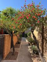 featured image of 1725 E Limberlost Dr