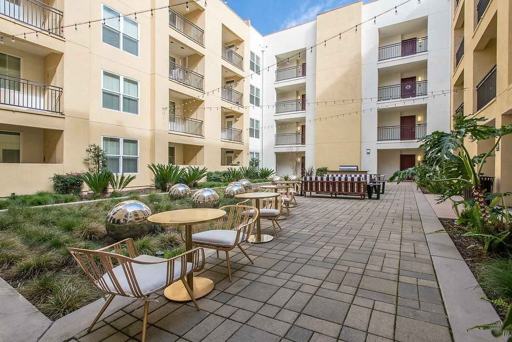 Paragon - Photo 7 of 50