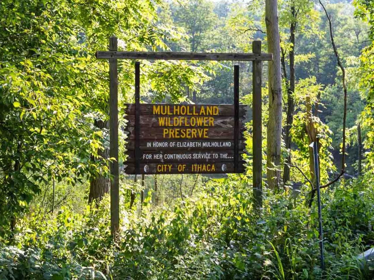 115 James Street - Photo 7 of 17