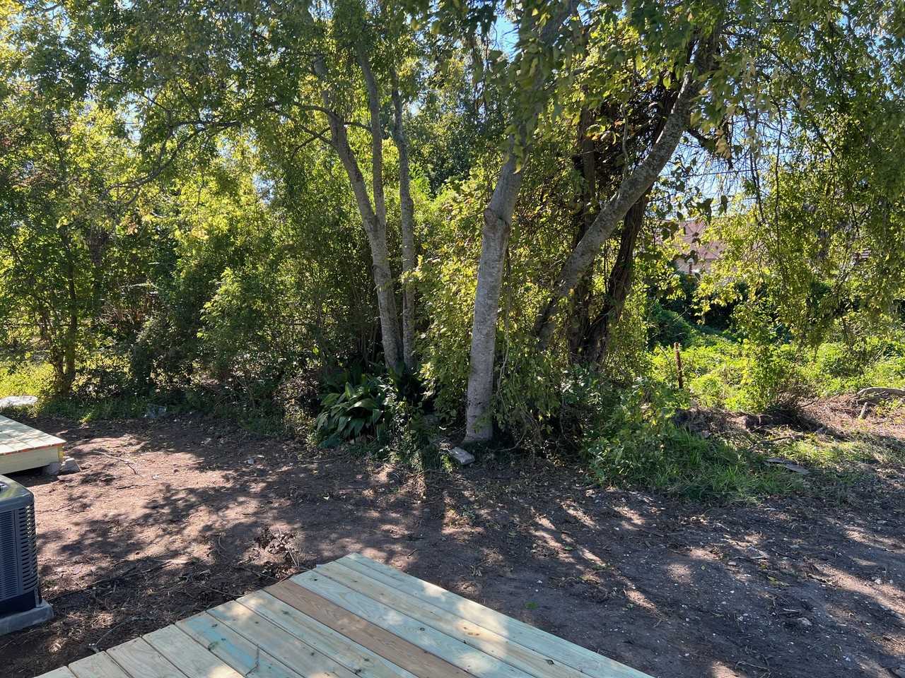 1130 Houston St #1 - Photo 3 of 9