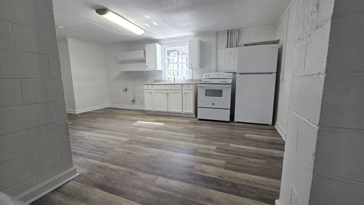 732 Nc Highway 55 W - Photo 4 of 13