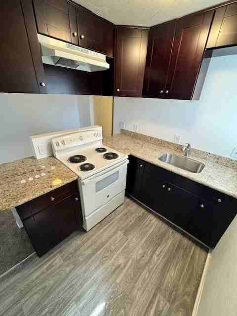 9550 Campo Road - Photo 6 of 10