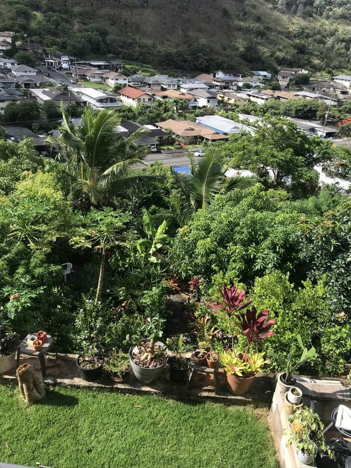 1565 Ala Lani Street, Unit Single Home - Photo 3 of 24