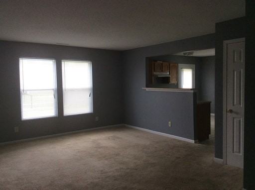 1737 Feather Reed Lane - Photo 4 of 8