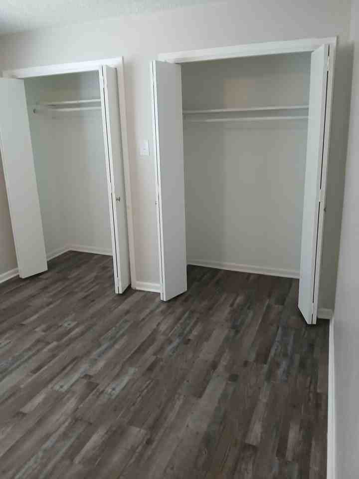 Live Oak - Photo 4 of 15