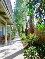 featured image of 5245 Chesebro Rd