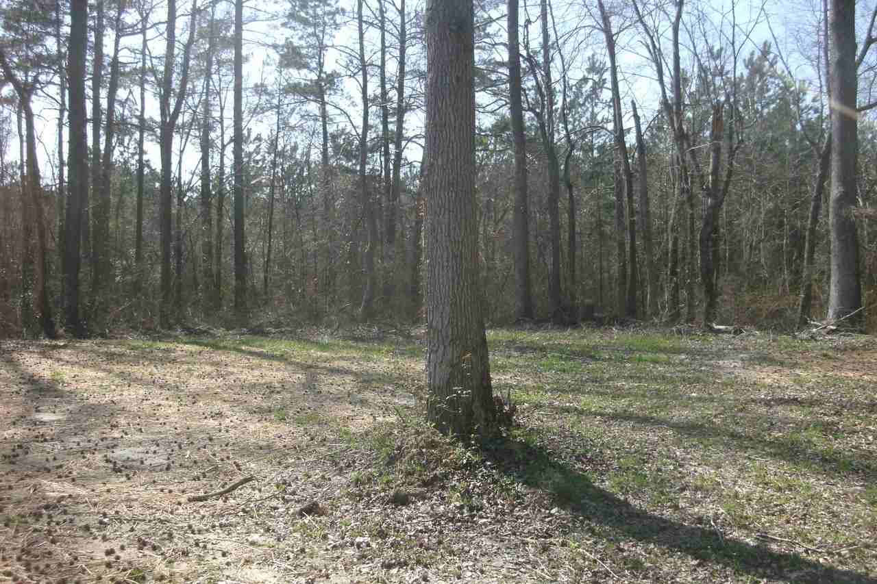 5808 Red Oak Rd - Photo 4 of 11