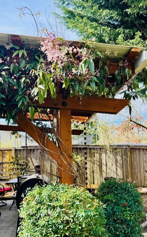 1575 Adelman Loop - Photo 5 of 16