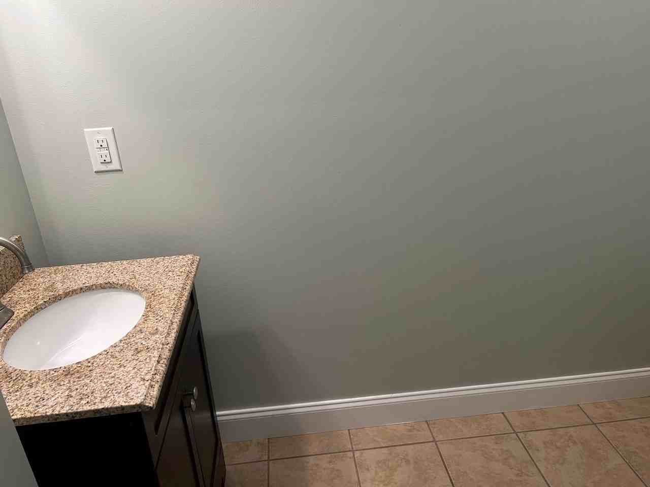 1311 Carrberry Ct - Photo 6 of 22