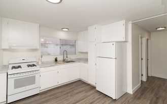 Olive Tree Manor - Photo 1 of 1