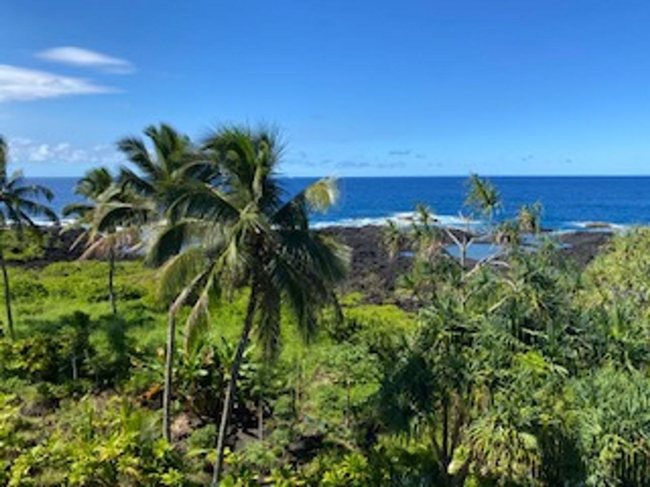 2405 Kalanianaole St #206