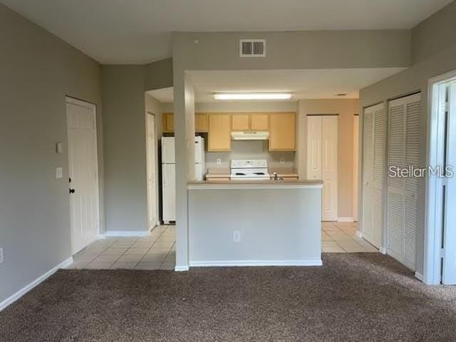 10831 Windsor Walk Dr #1302 - Photo 2 of 11