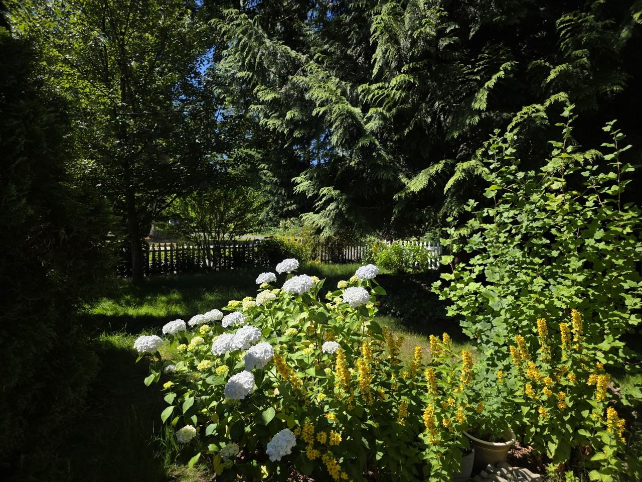 266 Boundary Bay Rd #1 - Photo 2 of 37