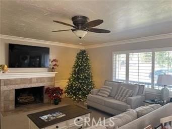 34781 Calle Del Sol - Photo 3 of 12