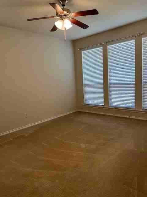 7823 Black Willow Ln - Photo 6 of 16