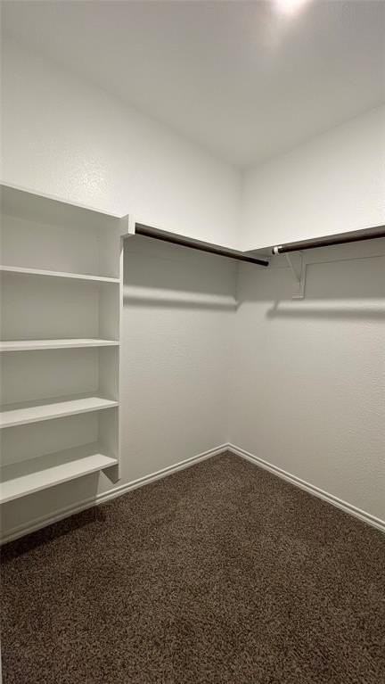 2914 Jasmine Dr - Photo 7 of 17