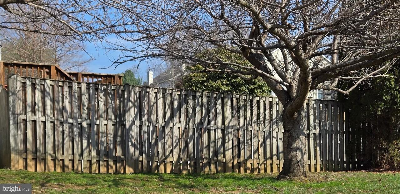 300 Cinnabar Ln - Photo 7 of 43