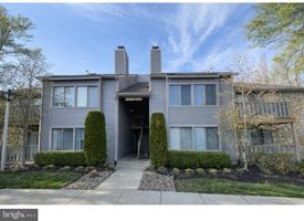 featured image of 1909 The Woods Ii