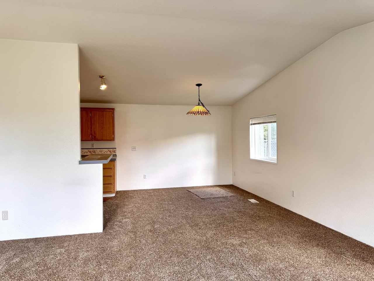 110 W Freedom Ln - Photo 3 of 17