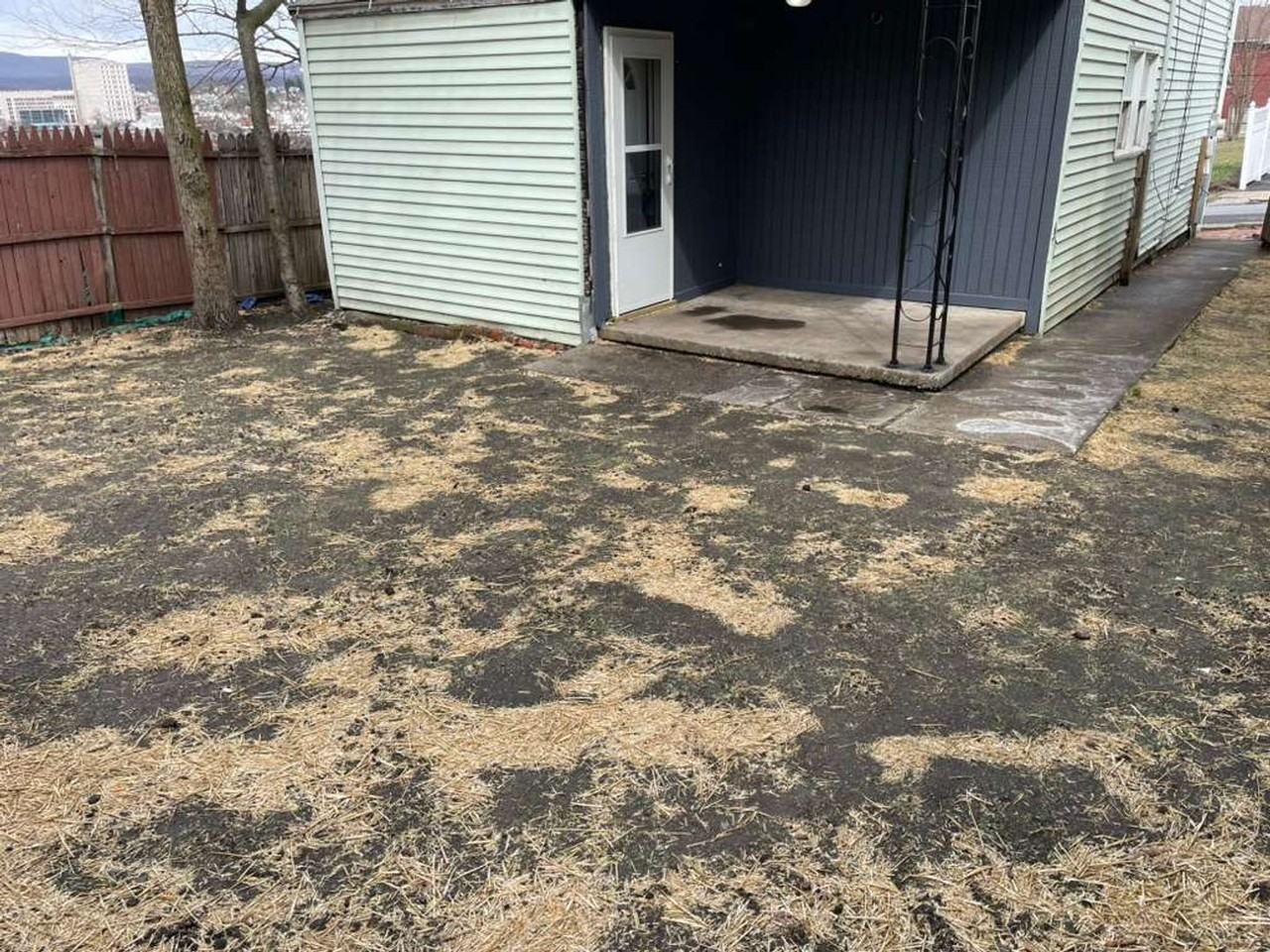 315 10th St - Photo 4 of 29