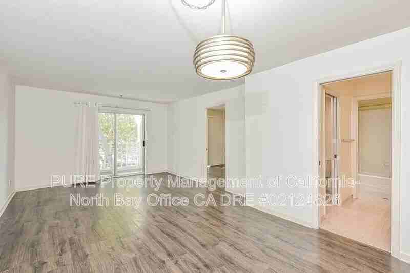 1180 Eddy St #A - Photo 6 of 21