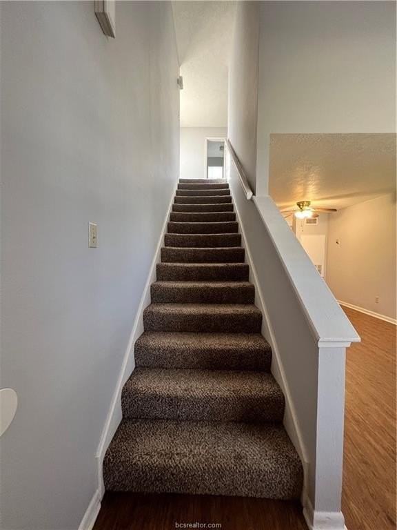 918 Spring Loop Apt A - Photo 3 of 12