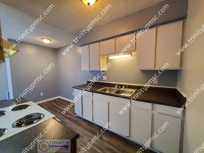 1728 Indian Land Dr #1907 - Photo 4 of 16