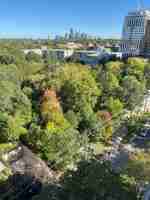 featured image of 21 Tichester Rd