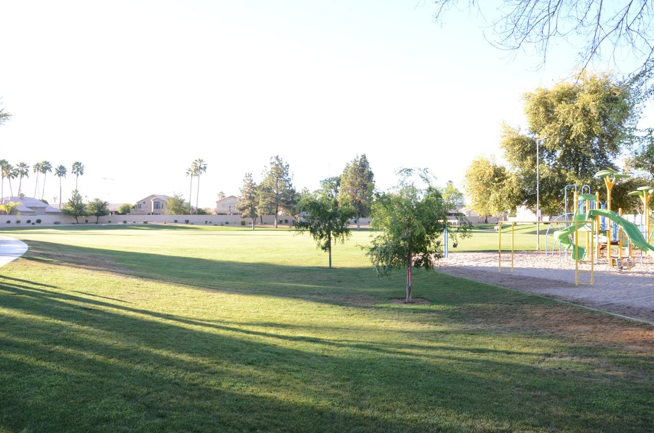 1671 E Redfield Rd - Photo 7 of 20