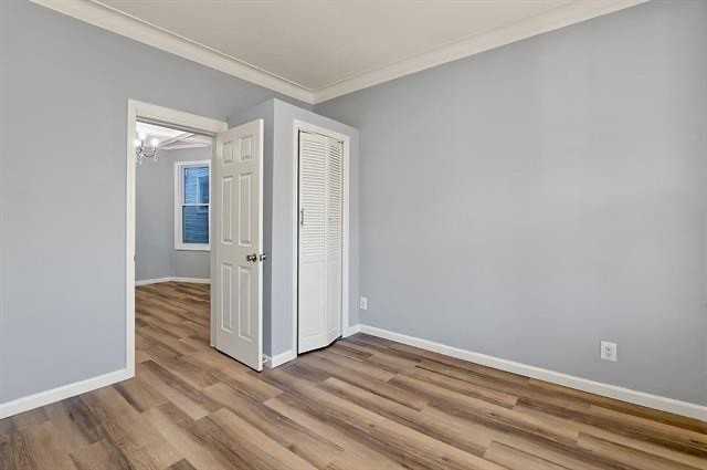 149 Wegman Pkwy #1 - Photo 6 of 16