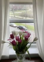 95 Park Dr #15 - Photo 1 of 1