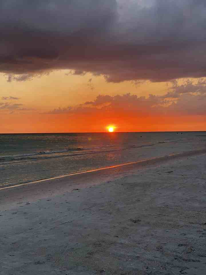 505 66th Ave #12 - Photo 6 of 21