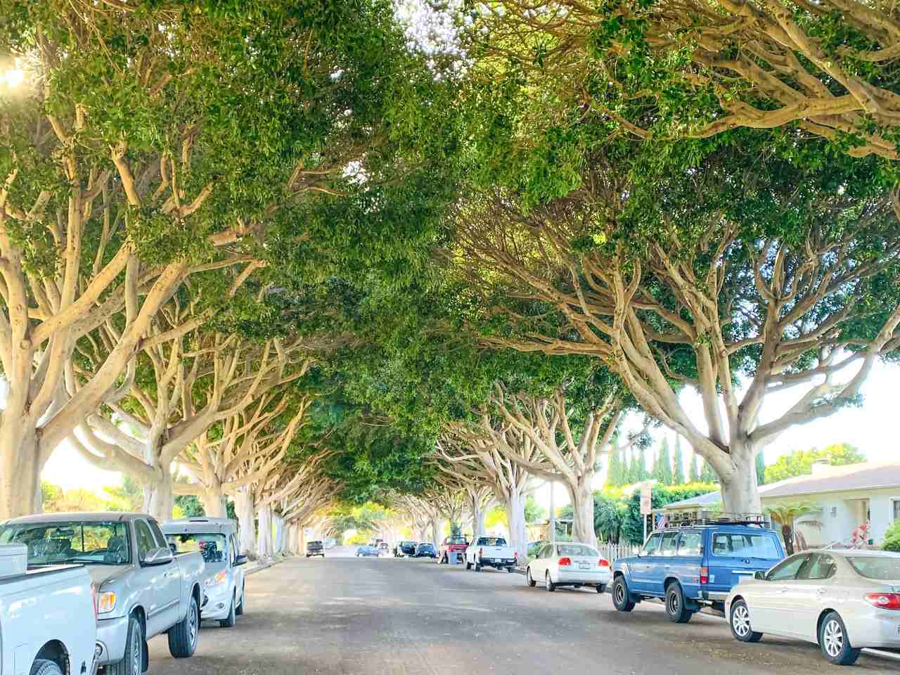 1340 Grant St #NA - Photo 3 of 26