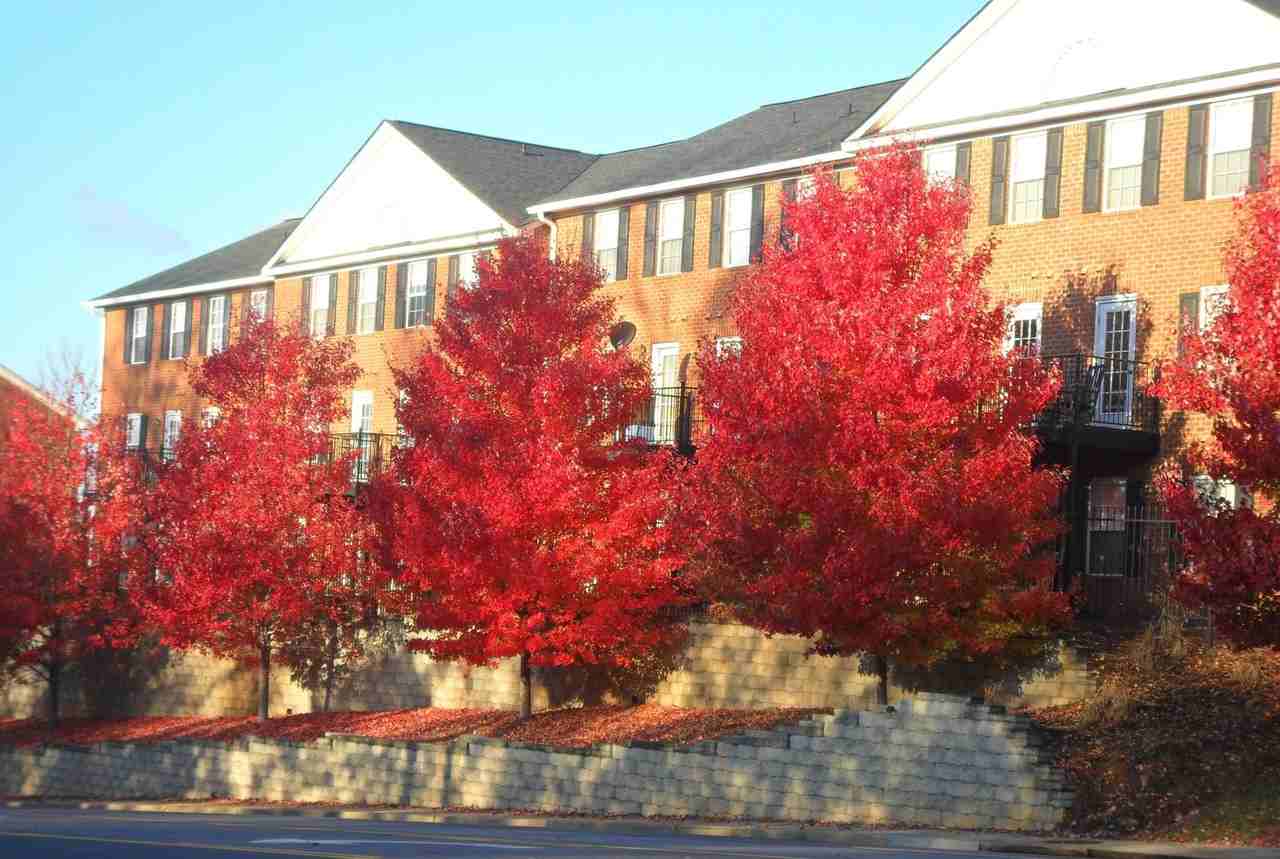 Stonecrest - Photo 7 of 13