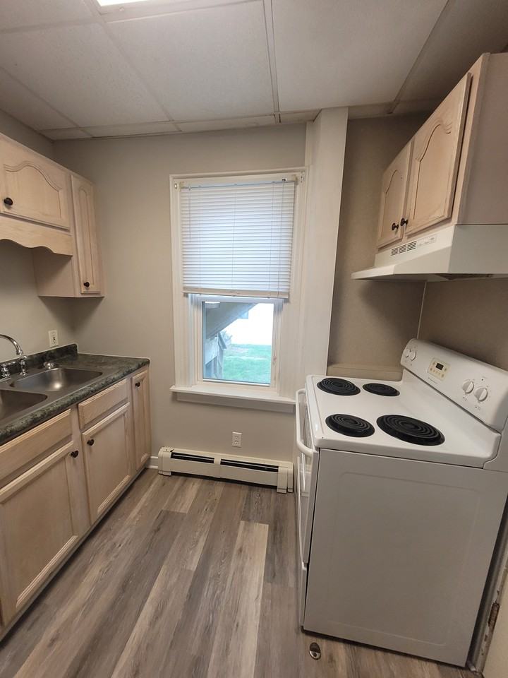 225 Pleasant Street #1 - Photo 5 of 10