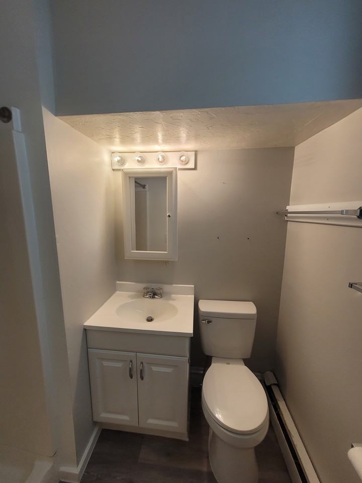 225 Pleasant Street #1 - Photo 7 of 10