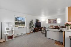 Honey Lane - Photo 1 of 1
