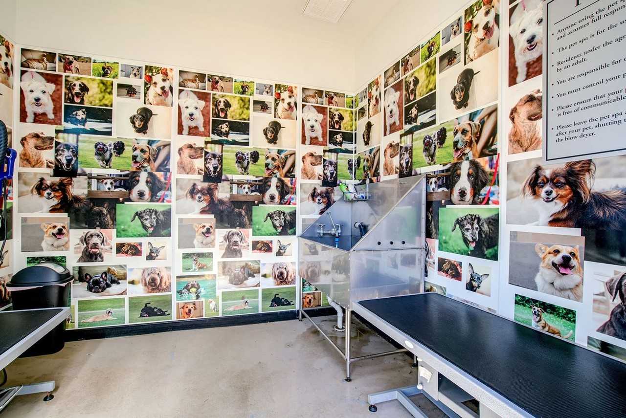 419 Liberty Pike - Photo 3 of 7