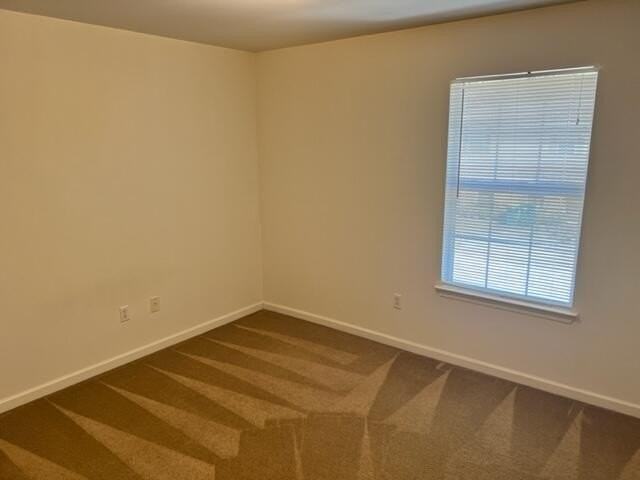 1804 Treeline Ct - Photo 6 of 8