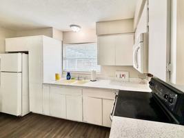 featured image of Azalea Dr