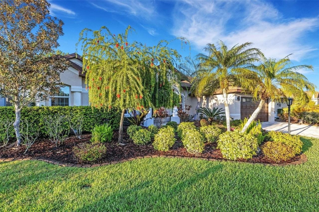 11011 Hyacinth Pl - Photo 6 of 50